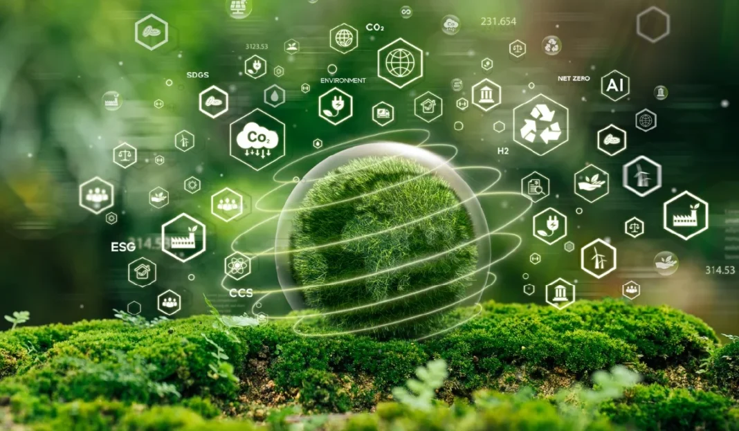 How Important is Kashyeportazza